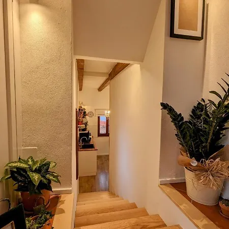 Bed & Breakfast Panorama 3*