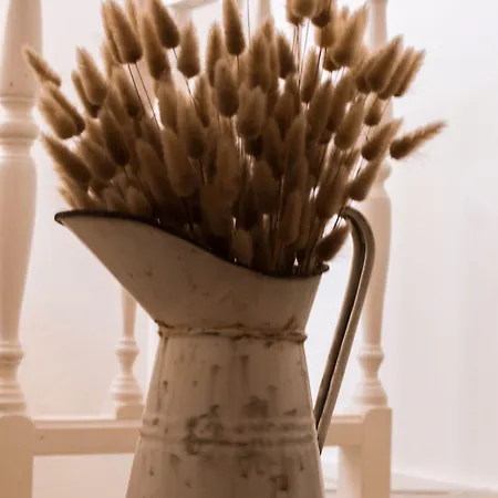 Panorama Альгеро