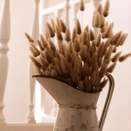 Panorama Альгеро