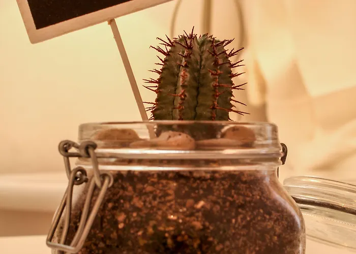 Panorama Guest House 3* Alghero