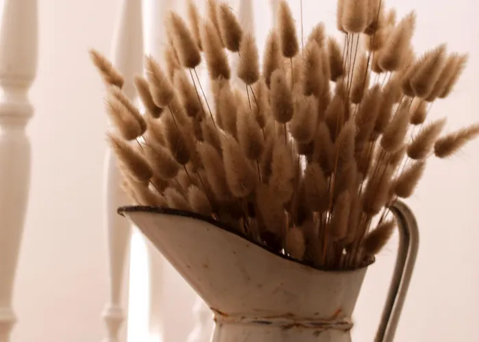 Panorama Guest House Alghero