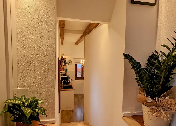 Bed & Breakfast Panorama Guest House