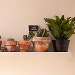 Panorama 3* 알게로