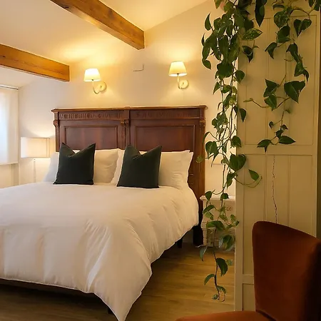 Panorama Guest House