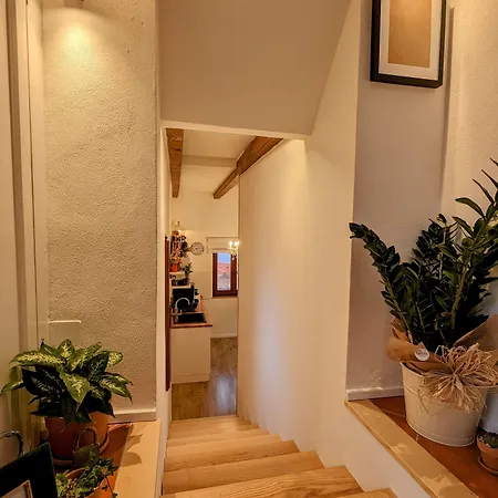 Oda ve Kahvaltı Panorama