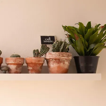 Panorama 3* אלגהרו